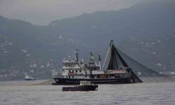 Hamside tehlike çanları çalıyor