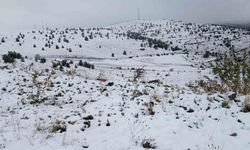 Posof’ta kar yağışı etkili oldu