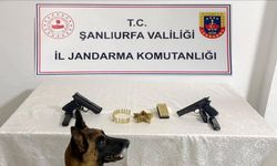 Şanlıurfa’da silah kaçakçılığı operasyonu: 8 gözaltı