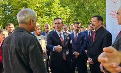 Vali Ahmet Karakaya ceviz hasadına katıldı