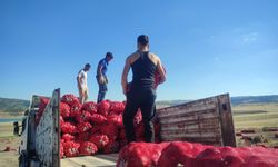 Yozgat’ta imece usulü soğan hasadı hem emek hem zaman tasarrufu sağlıyor