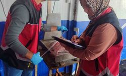 Zonguldak’ta su ürünleri denetimleri sürüyor