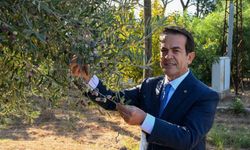 Antalya'nın sıvı altını yarışacak