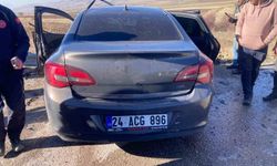 Aşkale'de trafik kazası: 2 yaralı