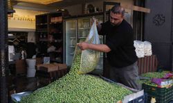 Gaziantep'te yeşil zeytin fiyatları sabit kaldı