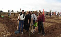 Kilis'te 'Çiftçiye Hayat Olsun' projesinde 10 bin fidan toprakla buluştu