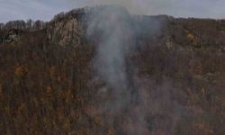 Ordu'daki ormanlık alandaki yangın kontrol altına alındı
