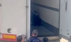 Sakarya’da 24 düzensiz göçmen yakalandı