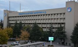 TEDAŞ Canlı Hat Bakım Projesi ihaleye çıktı