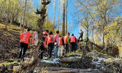 Yüksekova’da erozyonla mücadele için fidan dikme etkinliği