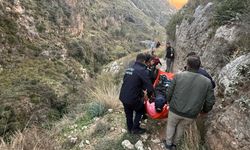 Yürüyüş esnasında kayalıklardan düşen şahıs yaralandı