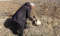 Çamurlu ayakkabısını çıkarıp markette alışveriş yapmıştı: 'Yine olsa yine yaparım'