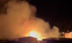 Mersin'de sazlık alandaki yangın söndürüldü: Bir sera zarar gördü