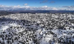 Mersin'de karla kaplanan ormanlık alandan kartpotallık görüntüler