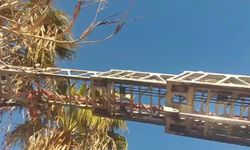 Silifke'de yürekleri ısıtan kurtarma