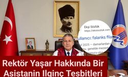 Ekşi Sözlük’teki Rektör Yorumu Mersin'de Gündem Oldu