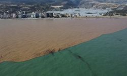 Derelerden Akdeniz'e akan sel suları kıyı şeridini çamura bürüdü