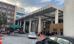 Hastane koridorlarında dolaşan köpek tedirgin etti