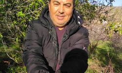 Kara kışta badem sürprizi