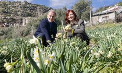 Mersin'de 4. Nergis Şenliği binlerce vatandaşı buluşturdu