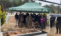 Mersin'de hayatını kaybeden keman sanatçısı Laçin Akyol, mezarı başında anıldı