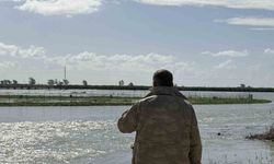 Seyhan Nehri taştı, Tarsus'ta tarım arazileri sular altında kaldı