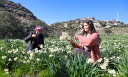 Büyükşehir’in Nergis Desteği Üreticinin Yüzünü Güldürdü