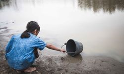 “Doğa Çöküyor: Orman Kaybı ve Su Krizi Derinleşiyor”
