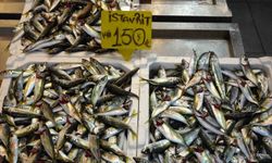 Bayram öncesi balık tezgahlarında bolluk