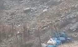 Bitlis'te heyelan köy yolunu kapattı