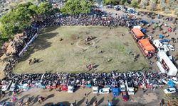 Burhaniye'de deve güreşleri Pelitköy sahasında yapılacak