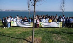 Büyükçekmece'de Orman Haftası'nda 100 fidan toprakla buluşturuldu