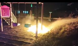 Çocukların yaktığı ateş parkı alev topuna çevirdi