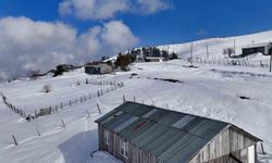 Düzce'nin zirvesi Kardüz'den muhteşem görüntüler