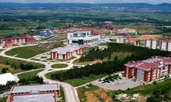 Kastamonu Üniversitesi orman yangınlarıyla ilgili risk haritası oluşturacak