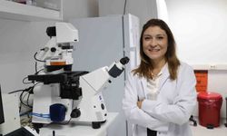 Kemik erimesinin tedavisinde uluslararası iş birliği