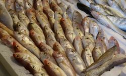 Mersin'de Ramazan'da balık fiyatları düştü, satışlar arttı