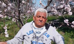 Mut'ta kayısı ağaçları adeta gelinliğe büründü