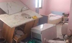 Trabzon'da yayla evine giren ayı ortalığı savaş alanına çevirmiş