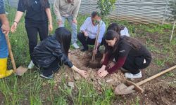 Toroslar’da “Yeşil Vatan” İçin Umut Fidanları Toprakla Buluştu