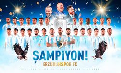 Erzurumspor FK, Trendyol Süper Lig'de