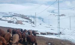 Ağrı'da Nisan ayında kar yağışı yolları kapattı