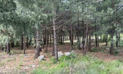 Anne ve oğlunu öldüren katil akrabaların çaldıkları altınları kuyumcuya sattıkları ortaya çıktı