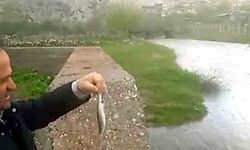 Araban'da Ardıl Çayı yıllar sonra yeniden aktı