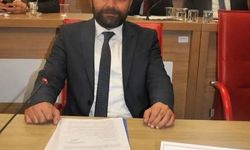 Aydın'da 'sinekle mücadele'hizmeti yargıda