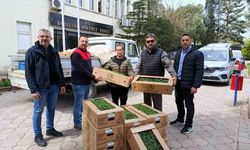 Babaeski'de üreticiye 2 bin kırmızı domates fidesi verildi