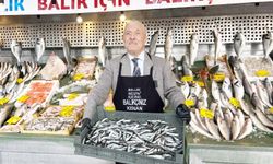 Balık sezonu sona erdi, Balıkçı Kenan hamsiye 'madalya' taktı