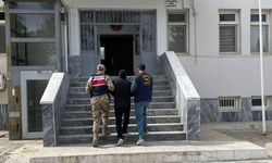 Birecik'te göçmen kaçakçısı yakalandı