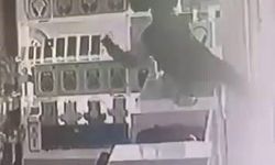 Böyle hırsızlık görülmedi: Masanın üstüne çıkıp vitrindeki telefonları alarak kaçtı