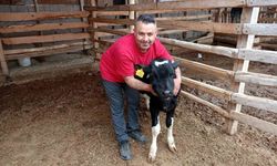 Çal'da Mert için yürekler seferber oldu